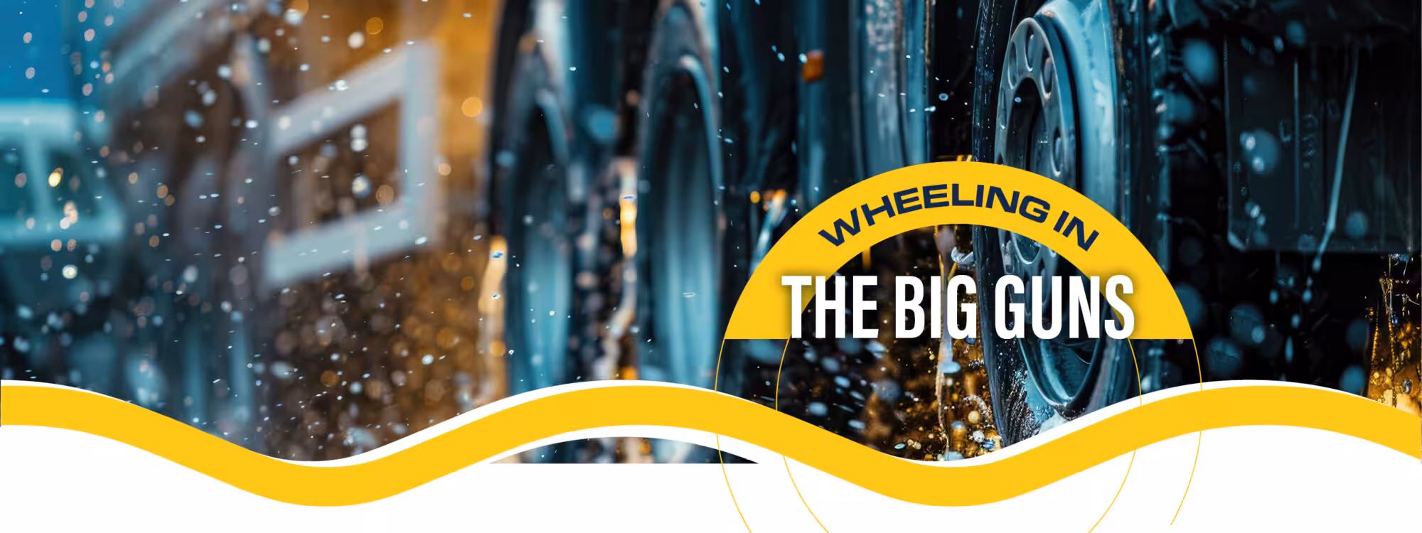 Nielsen Wheel Cleaning products