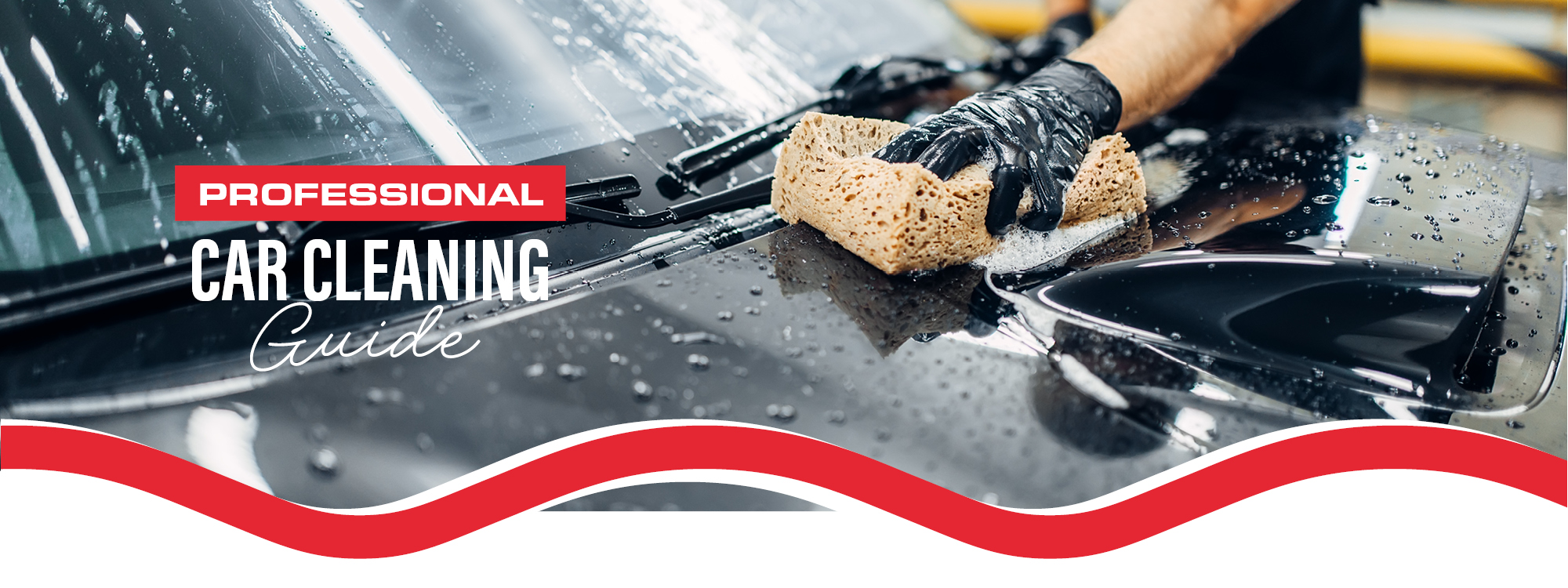 professional car cleaning