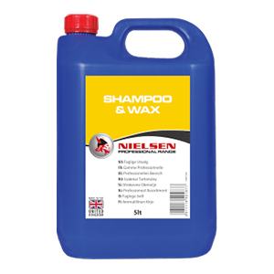 Step-by-step guide to professional car cleaning
