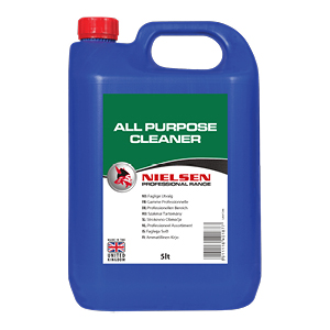 Step-by-step guide to professional car cleaning
